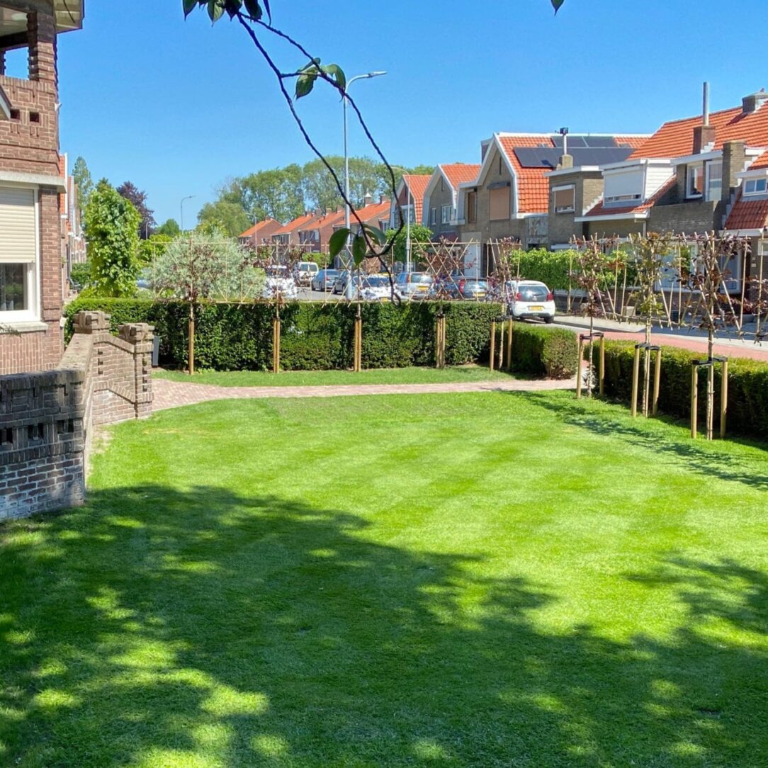 Viano gazonmeststof 17,5kg 2,5kg gratis voor 200m² - 3-in-1 (meststof mosdoder bacteriën) Perfect voor gazons met mos! Profiteer van €5 directe korting t.e.m. 03/05/26