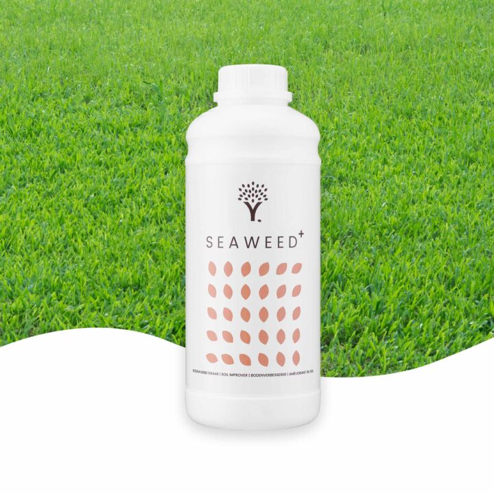 Zeewier Plus afbeelding