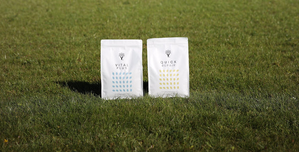 droog gazon herstel kit op het gazon