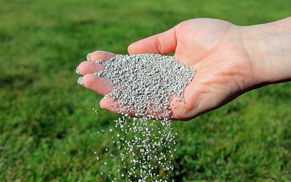 gazon meststoffen in hand