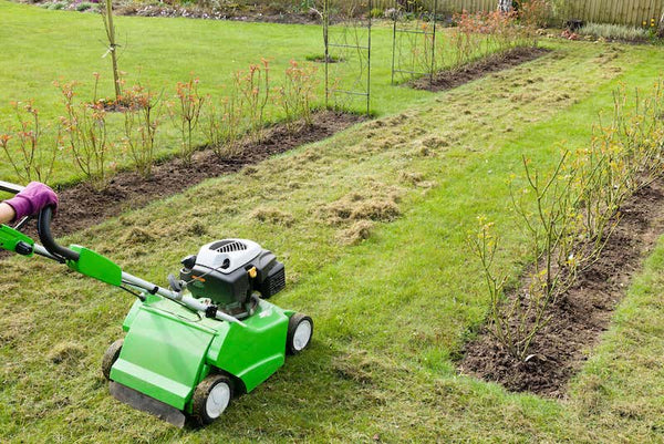 gras verticuteren in het voorjaar