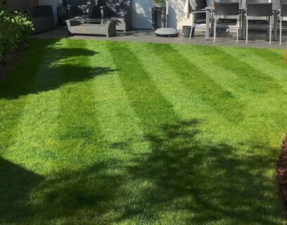groene strepen in gazon moowy tuin