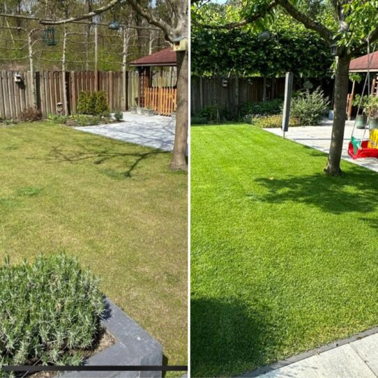 Voor en na foto van een tuin van de onkruidvrij gazon kit