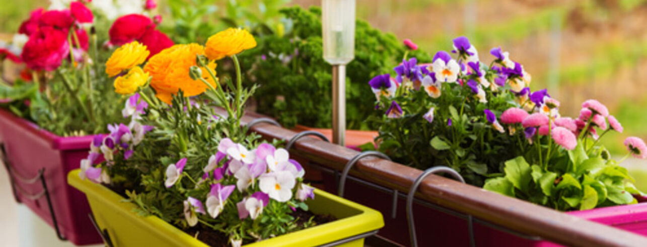 Kleurrijke bloemen in bakken aan balustrade