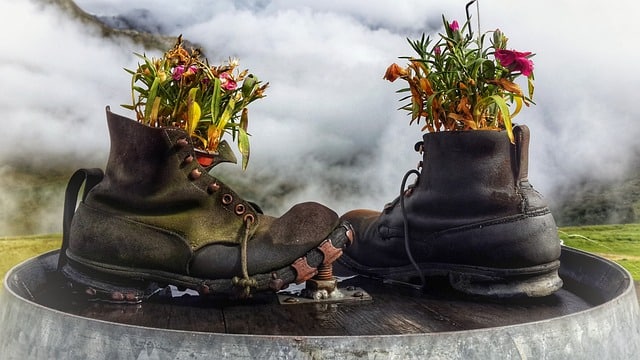 Een paar oude schoenen (donkerbruine boots) gevuld met planten