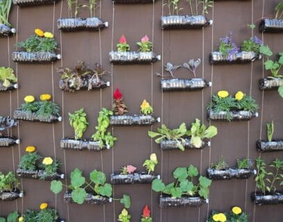 Diverse plantenbakken van gerecycled materiaal aan de muur