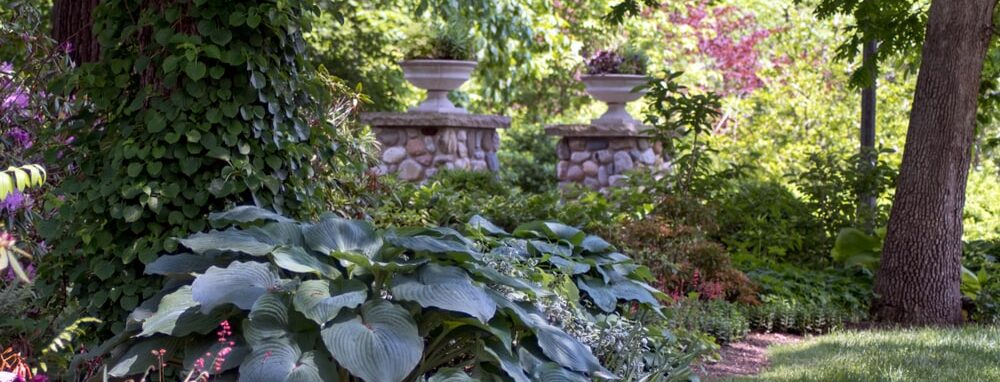 Een schaduwrijke tuin met planten en gazon