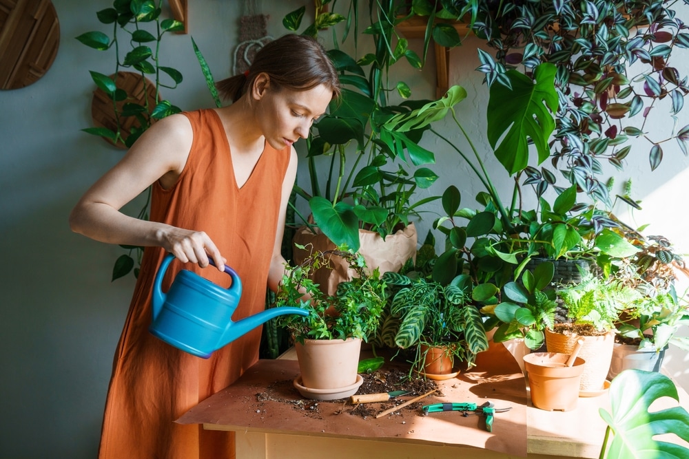vrouw geeft een aantal planten water