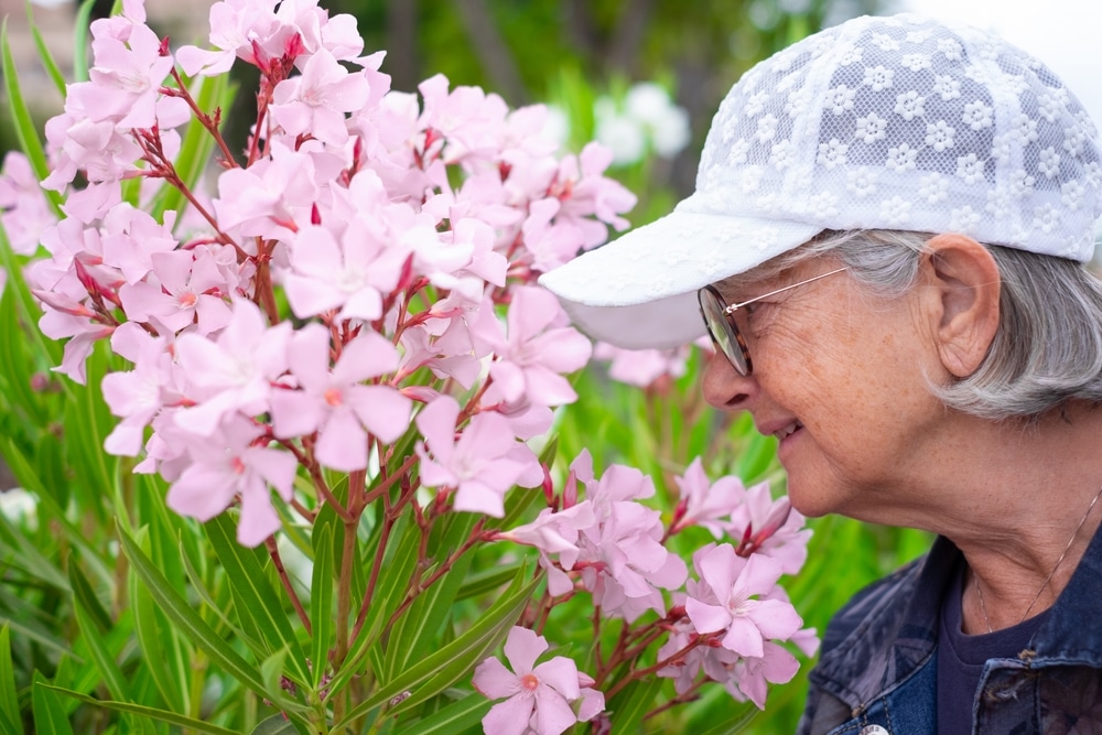 vrouw die aan oleander bloemen ruikt