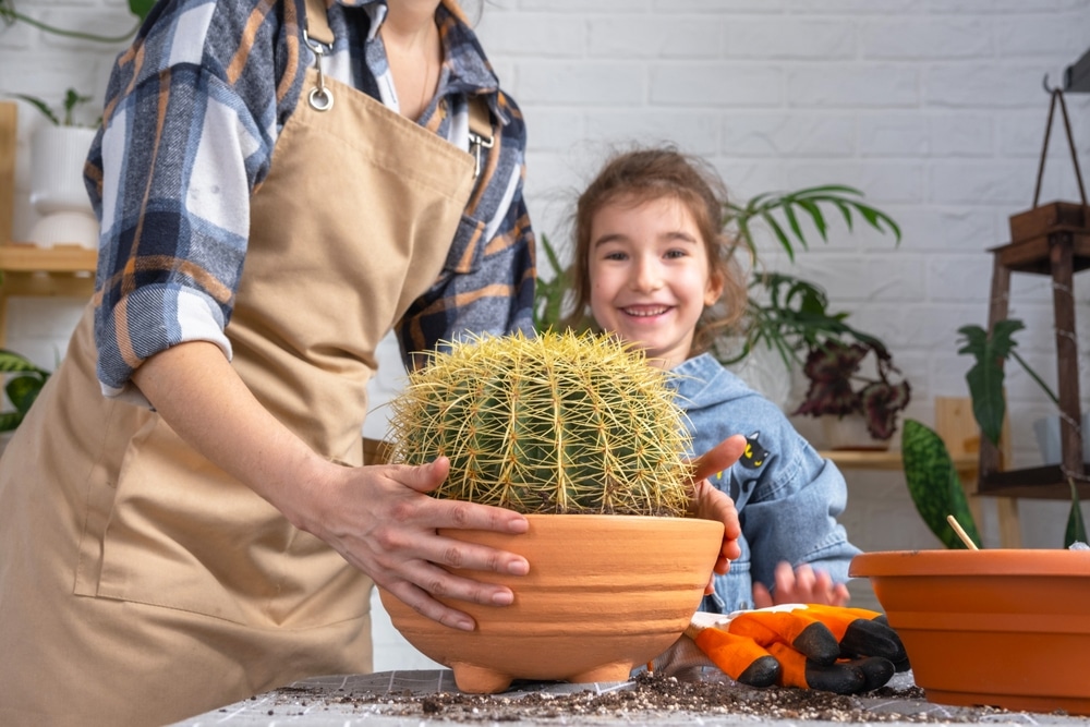 vrouw die grote cactus verpot samen met haar kind