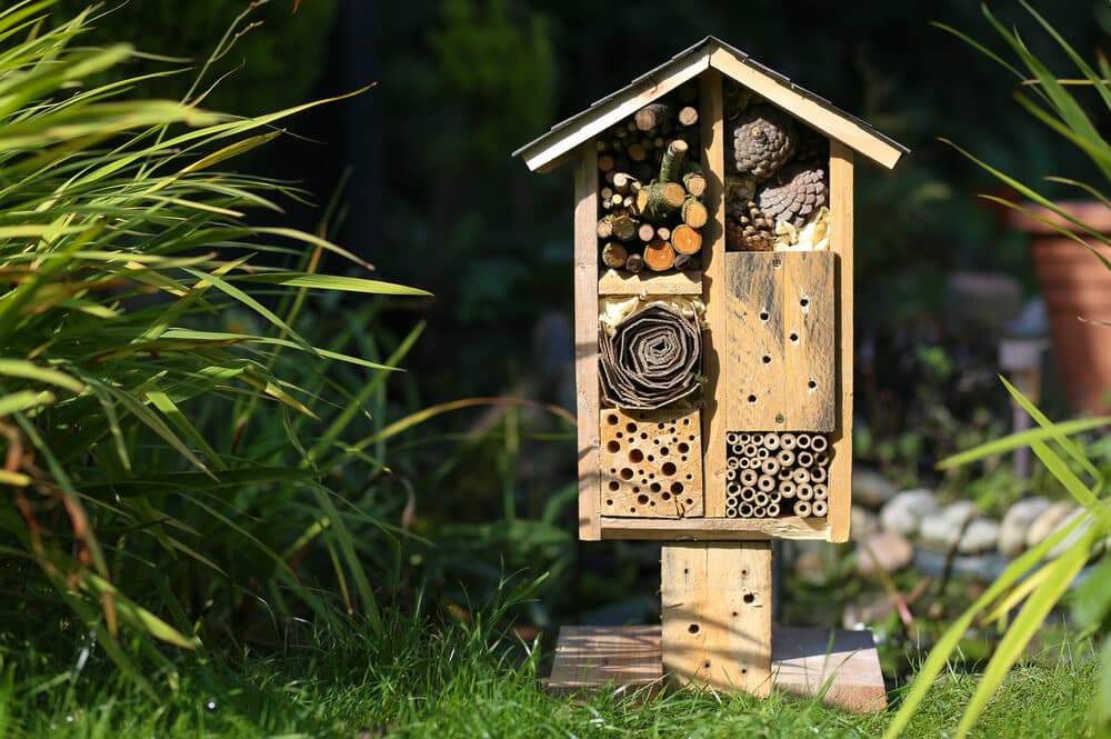 Insectenhotel van hout