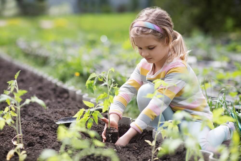 Meisje plant gewassen in moestuin-bed