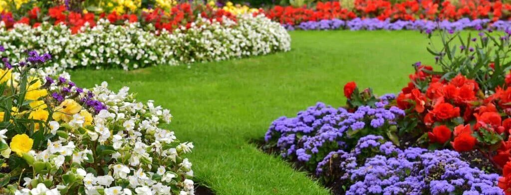 stralende tuin verrijkt met plantenvoeding