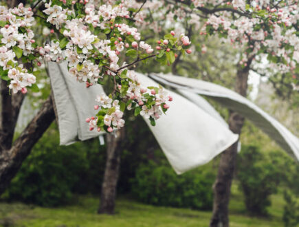 Was wappert in een tuin met veel wind