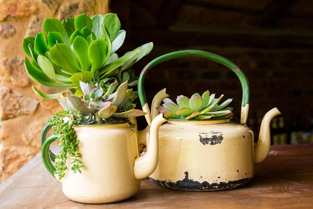 Verplanten in oud thee-servies