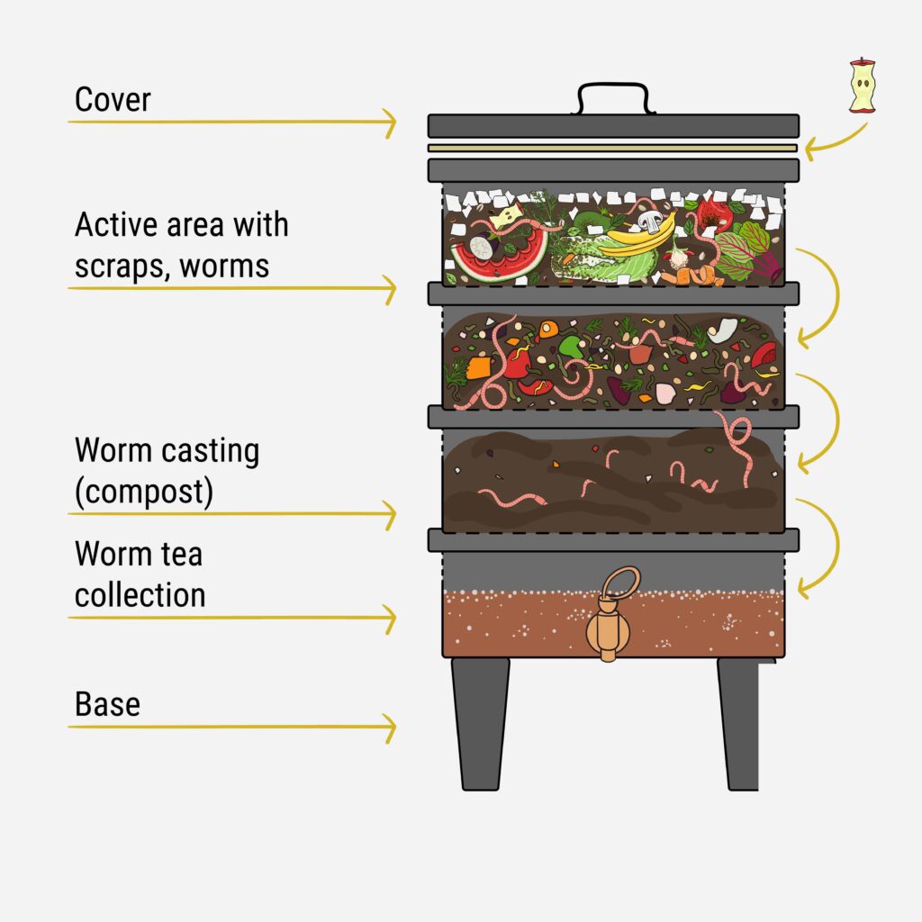 schematische weergave van een wormenhotel