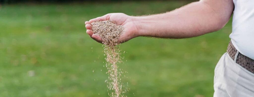 Hoelang kun je graszaad bewaren?