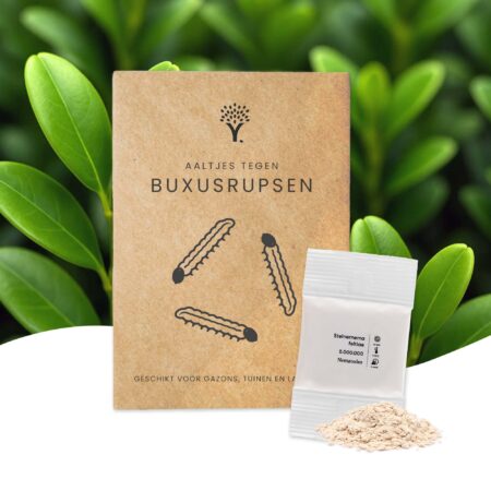 Aaltjes tegen buxusrupsen