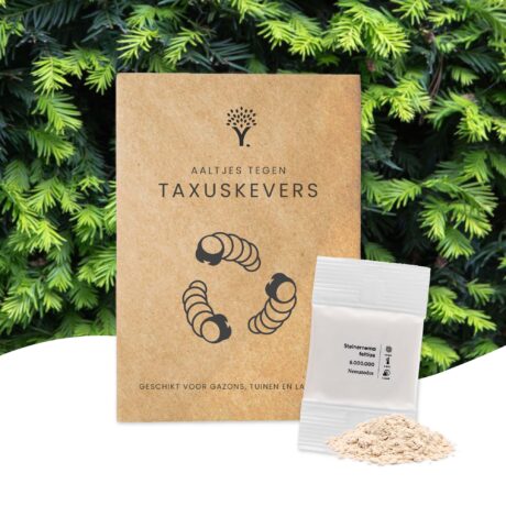 Aaltjes tegen taxuskevers
