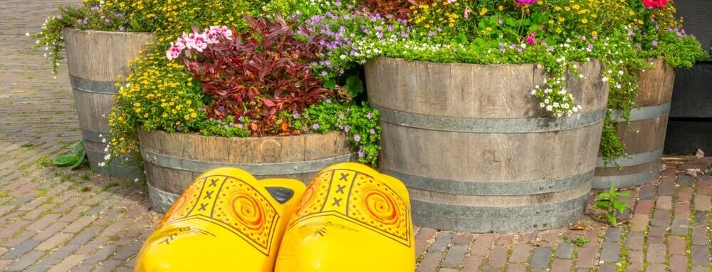 Tuinplanten in houten vat met klompen ervoor
