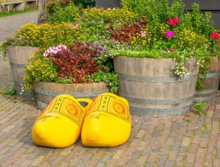 Tuinplanten in houten vat met klompen ervoor