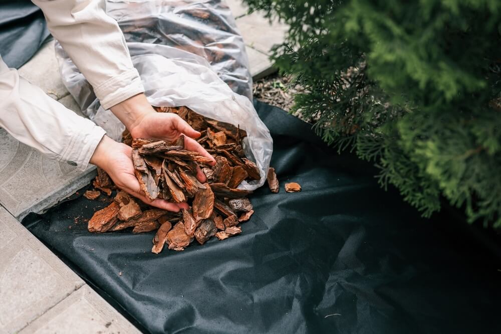 Iemand bedekt worteldoek met boomschors/mulch