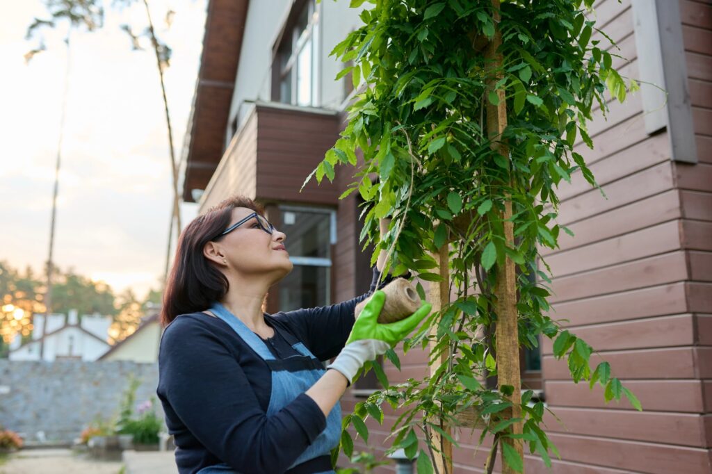 Vrouw leidt blauwe regen op pergola