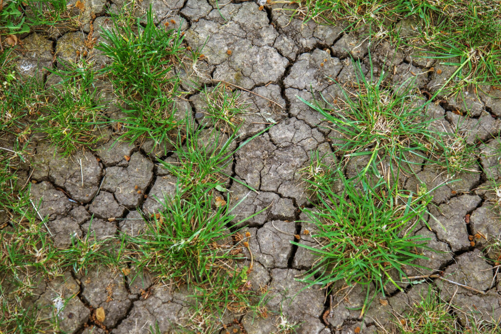 Hele droge grond die openscheurt onder het gazon